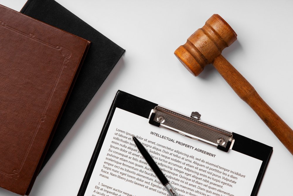 Paralegal or a Lawyer