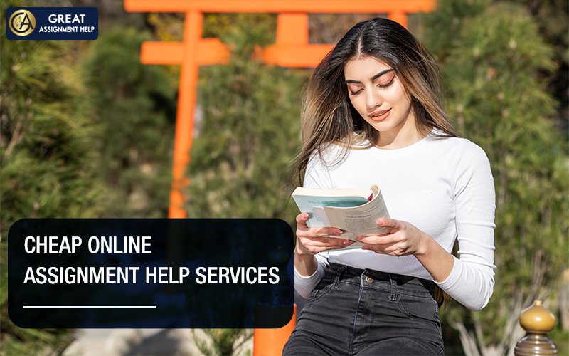 Why It Matters Choosing The Right Assignment Help USA For Students?