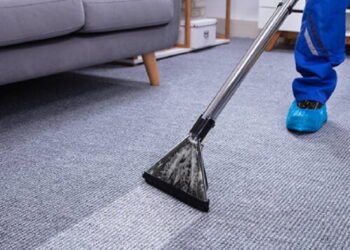 ﻿﻿What to Expect During Your First Carpet Cleaning Services Appointment
