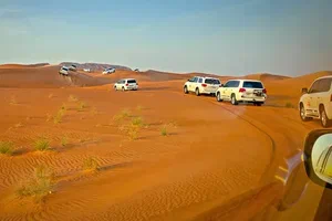 Explore The Joy of Desert Safari Experience in Dubai