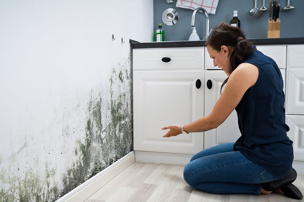 housing disrepair UK