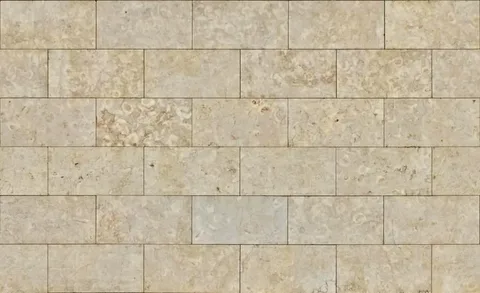 Why Shell Stone Tiles Are Dominating 2025 Outdoor Design Trends