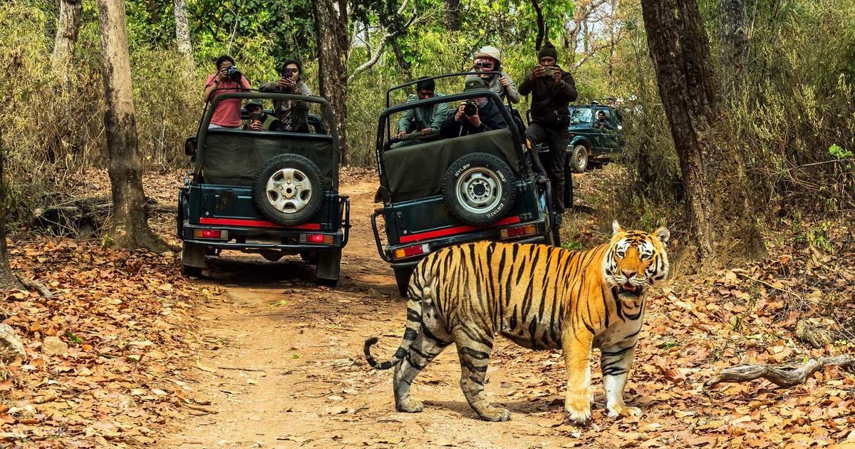 How to Plan a Rajasthan Tour for 12 Days with the Twist of Wildlife?
