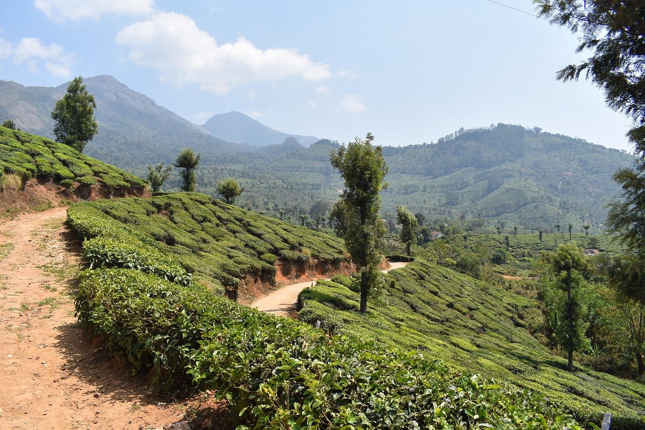 kerala honeymoon trip