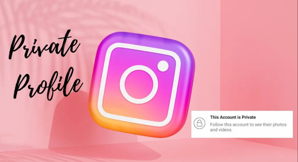 Reeling in Followers: The Game-Changing Influence of Instagram Reels