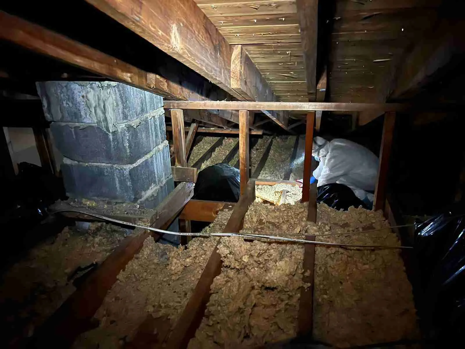 The Importance of Crawl Space Cleaning