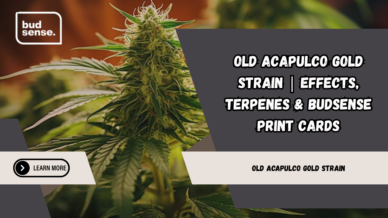 old acapulco gold strain