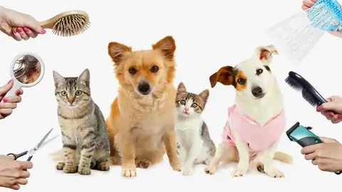 Pet Grooming Glove