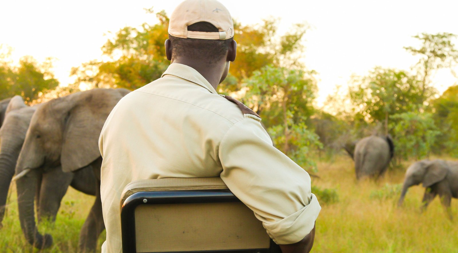 Planning a Safari? Here’s the Best Company in Tanzania