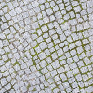 Paver slab