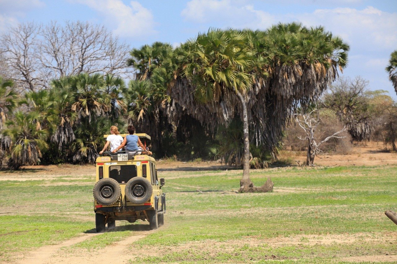 zanzibar safari tour