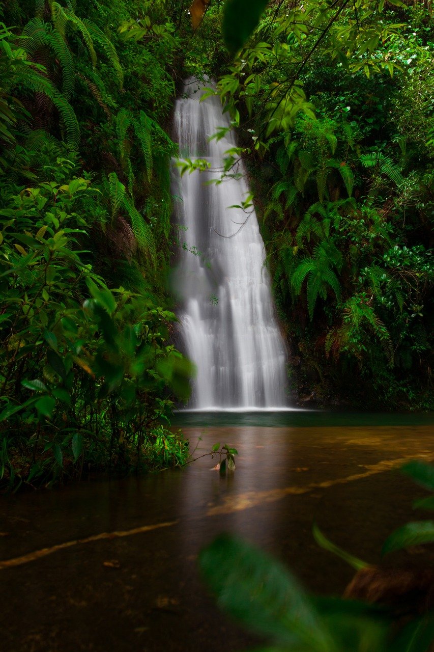 Meghalaya Cherrapunji Tour Package for Scenic Hills and Caves