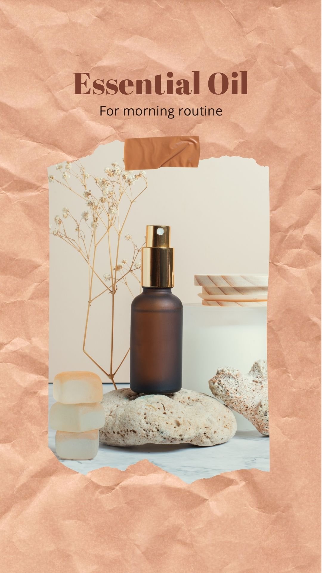 Herbal Extracts Supplier for Quality Natural Ingredients