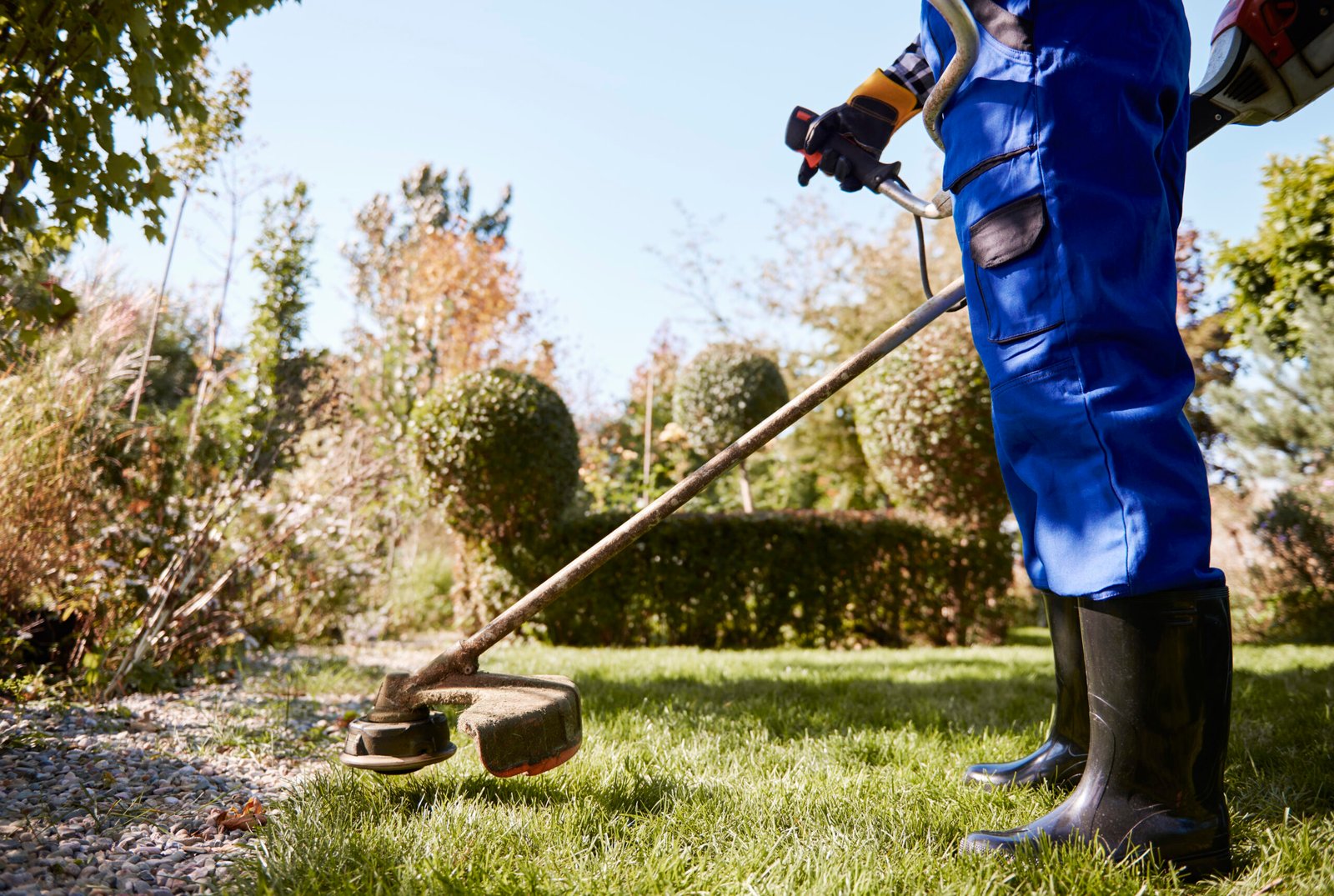 How Businesses Can Protect Their Reputation with Reliable Tree Services