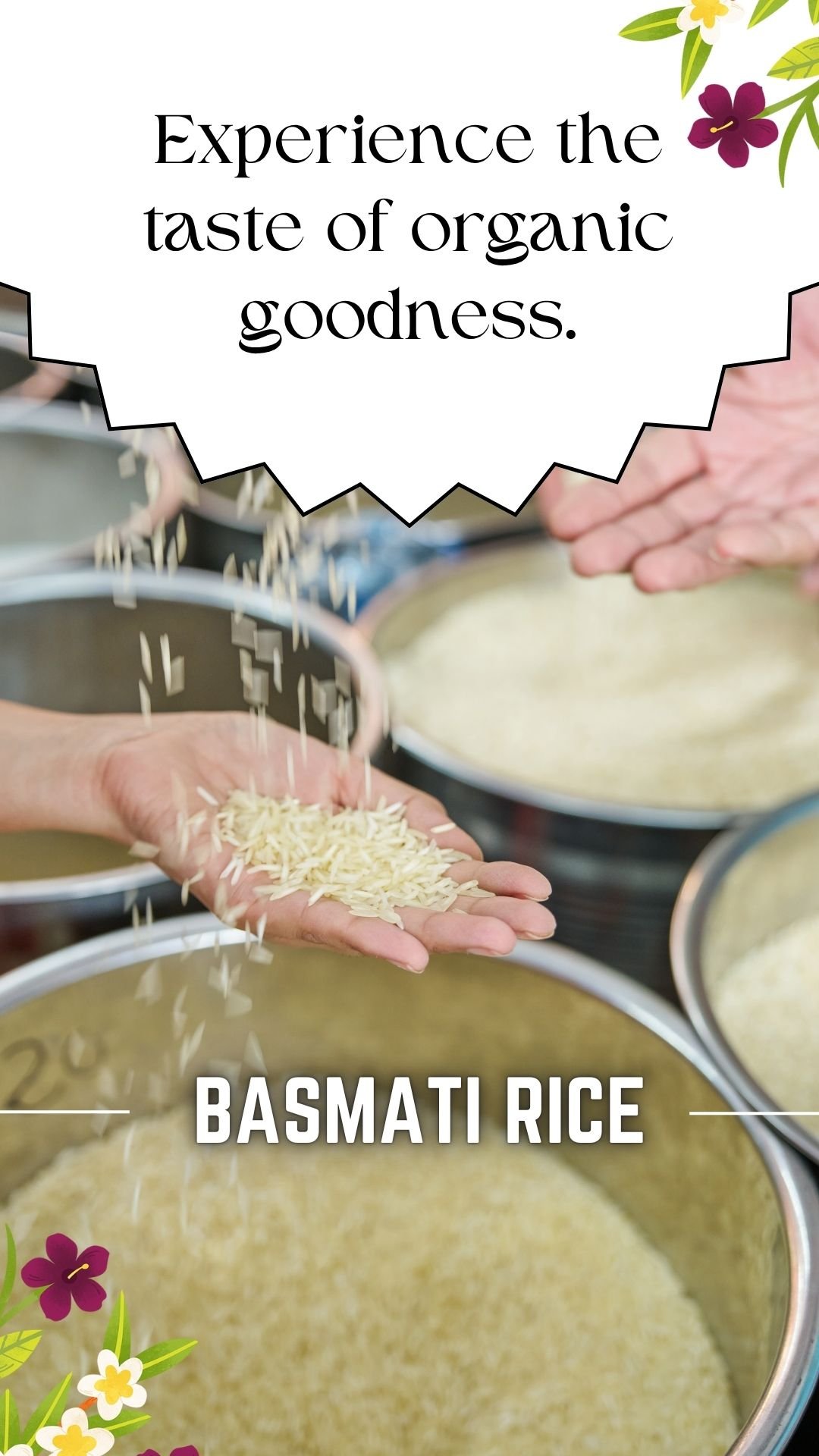 Trusted Basmati Rice Suppliers for Global Quality Needs