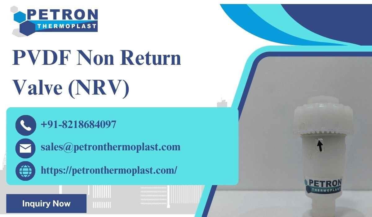 PVDF Non Return Valve